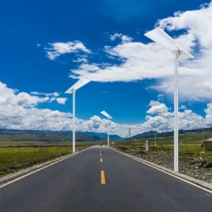 A3 80W Felicity Solar Street Light