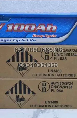 LGP 24v 100ah Lithium Ion Battery Price in Nigeria Alaba Price 2