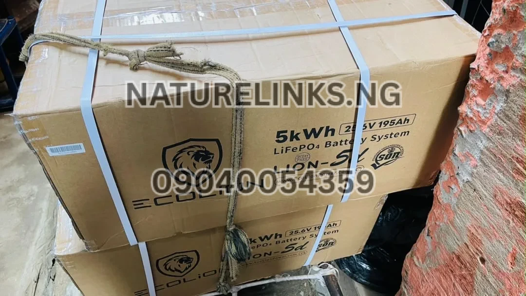 Ecolion 5Kwh 24V Lithium Battery Price in Nigeria Ecolion 5Kwh 24V Lithium Battery Price in Nigeria Alaba Price