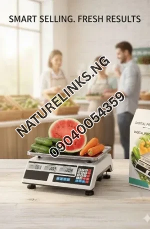 Generic Digital Price Computing Scale Price in Nigeria Alaba Price