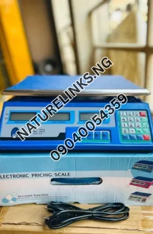 40Kg Digital Weight Scale Price in Nigeria Alaba Price