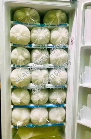 Yohako upright ice block freezer 200 litters Price in Nigeria Alaba Price
