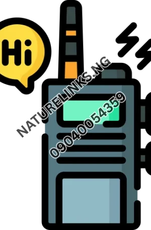 Walkie Talkie