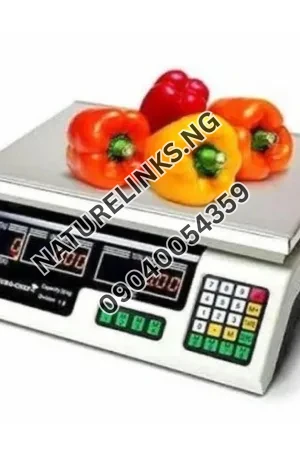World Choice Electronic Pricing Digital Scale Double Display Price in Nigeria Alaba Price